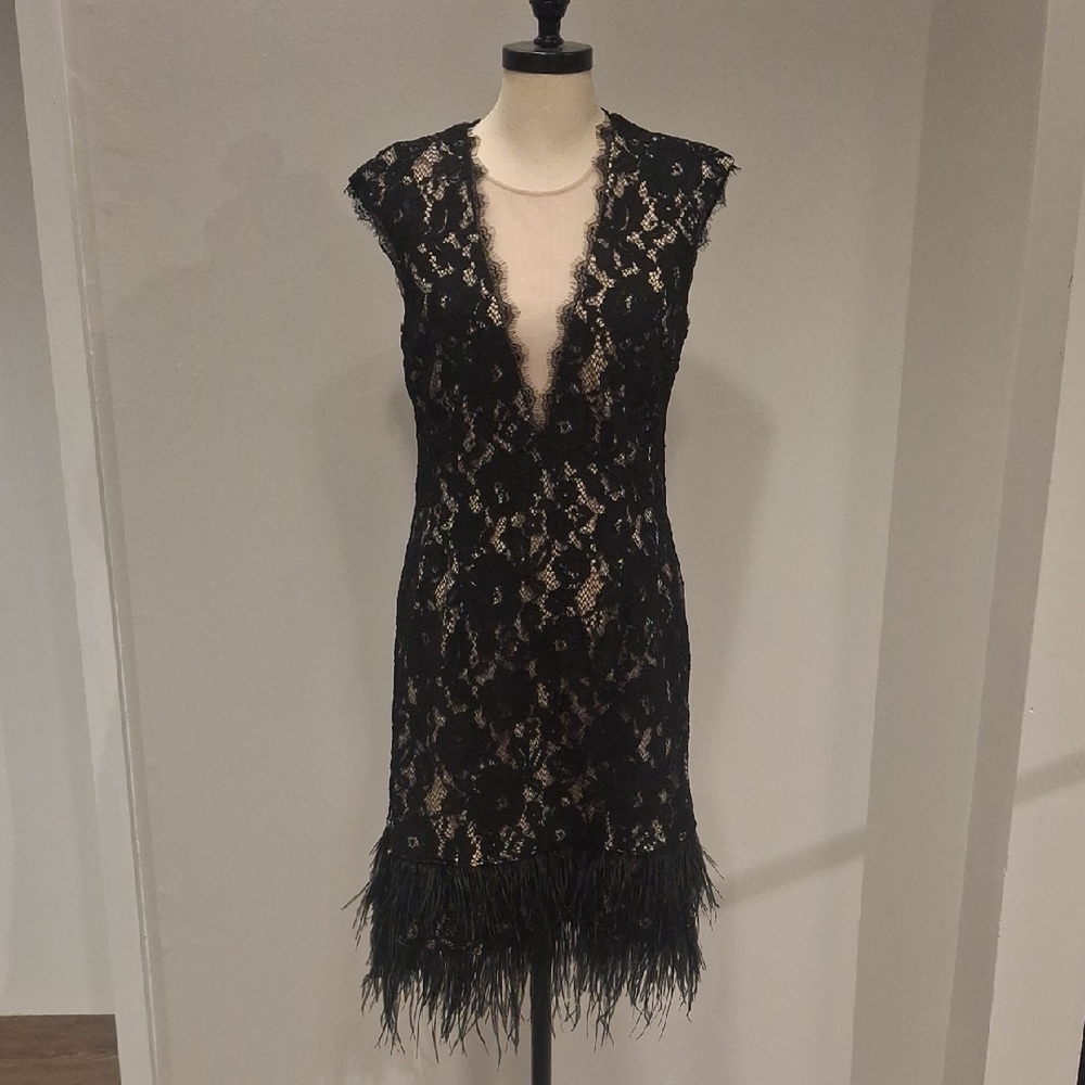 Black Lace Plunge Dress with Feather Hem